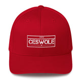 White embroidered CEswOle Flexfit cap